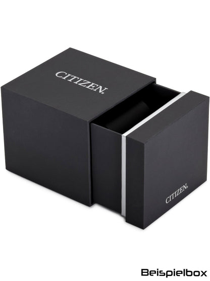CITIZEN Mod. BY1010-81H-4
